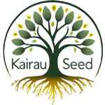 Kairau Seed